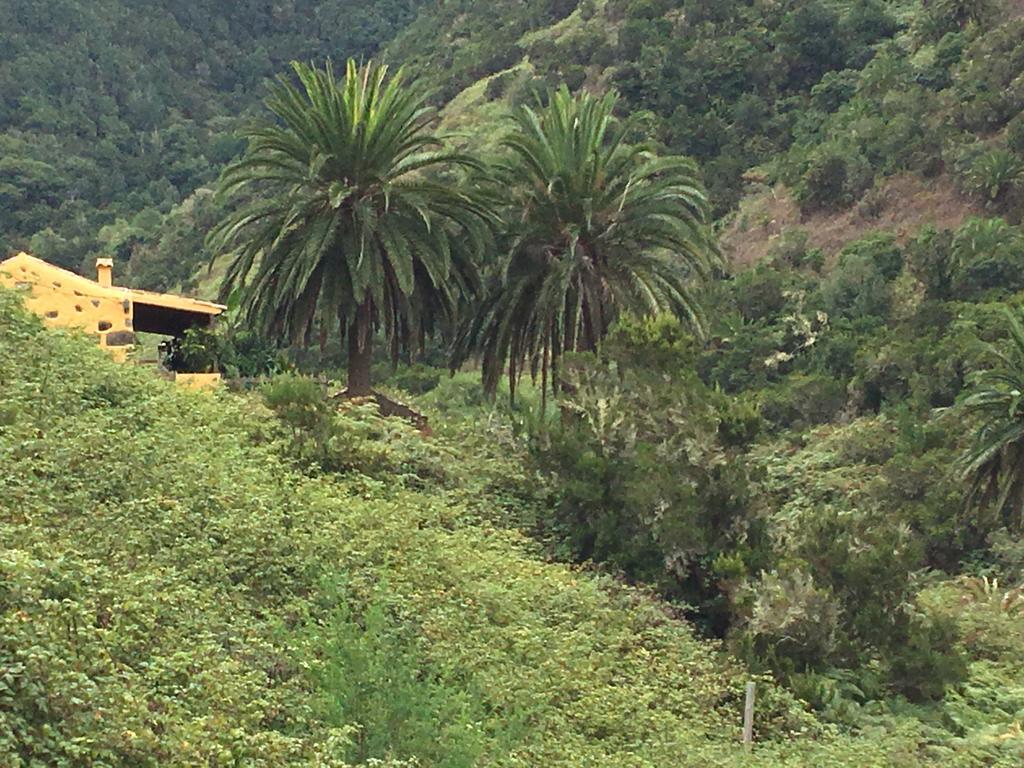 Casa Rural El Rincon De Antonia Agulo Ngoại thất bức ảnh